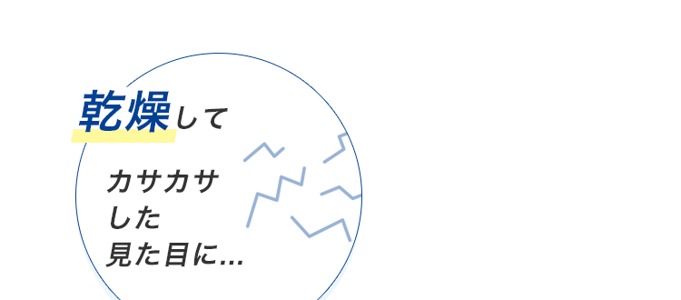 乾燥してカサカサした見た目に...