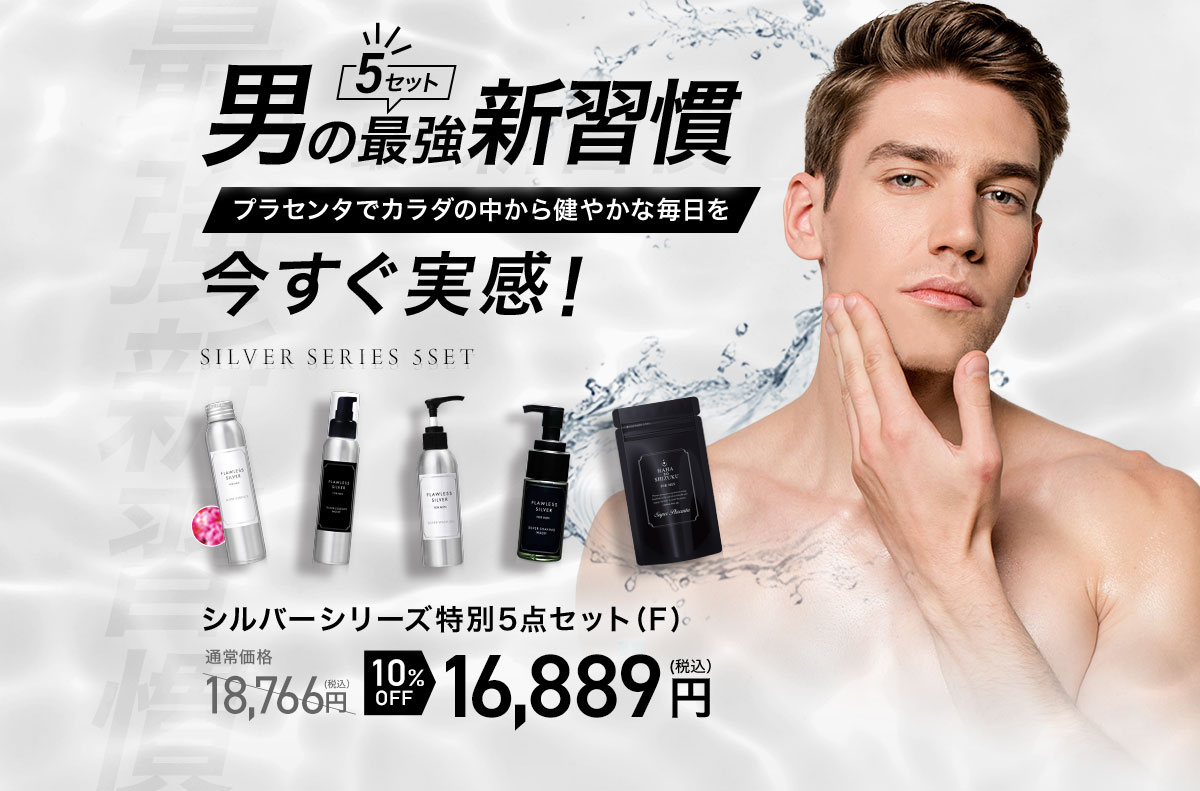 シルバーシリーズ5点セットをカートに入れる