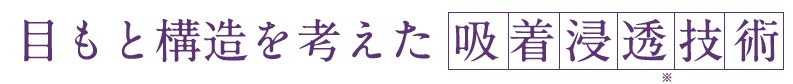目もと構造を考えた吸着浸透技術