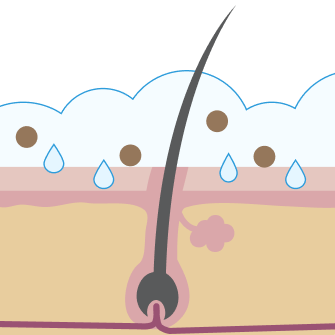 シャンプー前のマッサージが汚れを落として有効成分が浸透