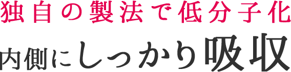 独自の製法で低分子化 内側にしっかり吸収