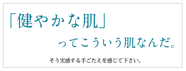 健やかな肌ってこういう肌なんだ。実感する手ごたえを感じてください。