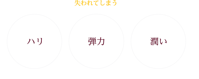 ハリ、潤い、弾力の図
